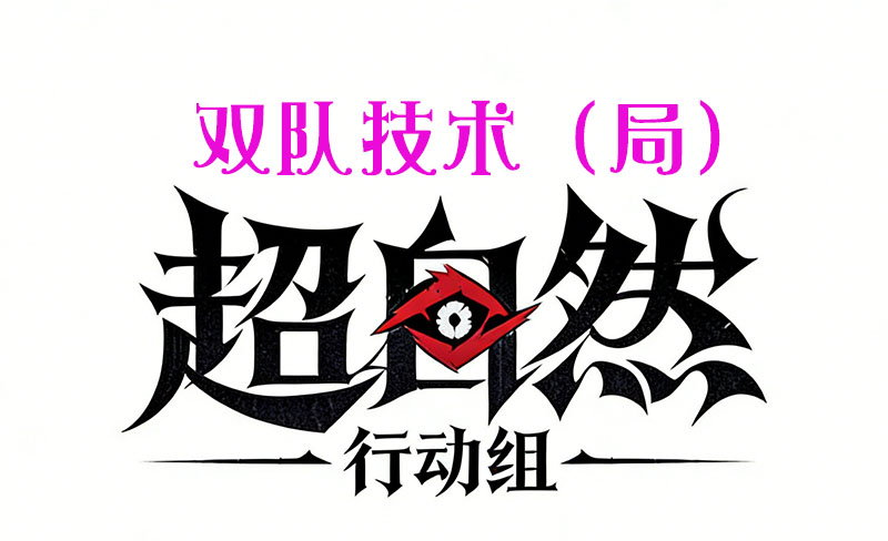 双队技术（局）